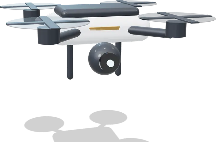 Survey drone
