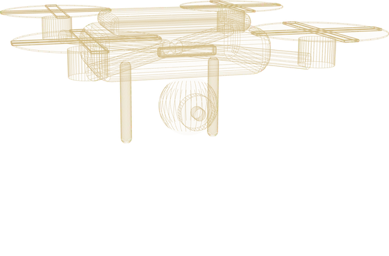 Survey drone, structure