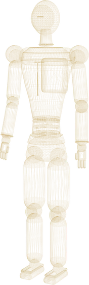 Humanoid robot, structure